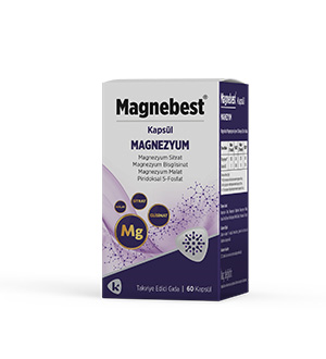 Magnebest