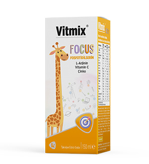Vitmix Focus